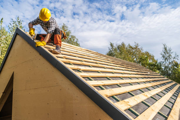 Best Roof Gutter Cleaning  in Attleboro, MA